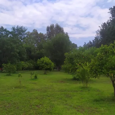 Maki Cirali Kemer