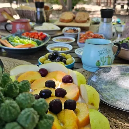 Maki çıralı