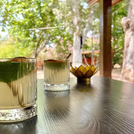 Maki çıralı 3*