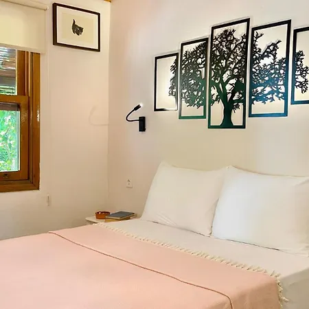 Maki çıralı 3*