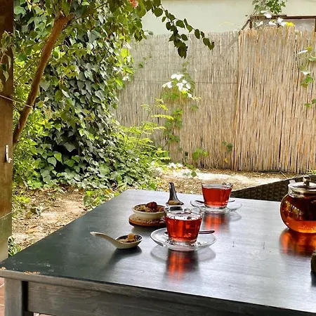 Maki çıralı Otel Kemer
